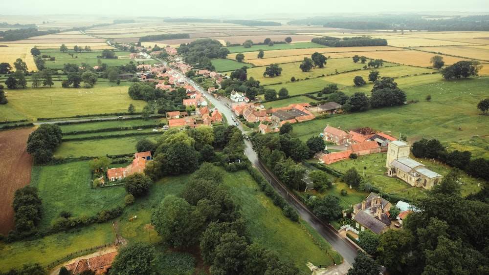 aerial view of green trees and houses during daytime