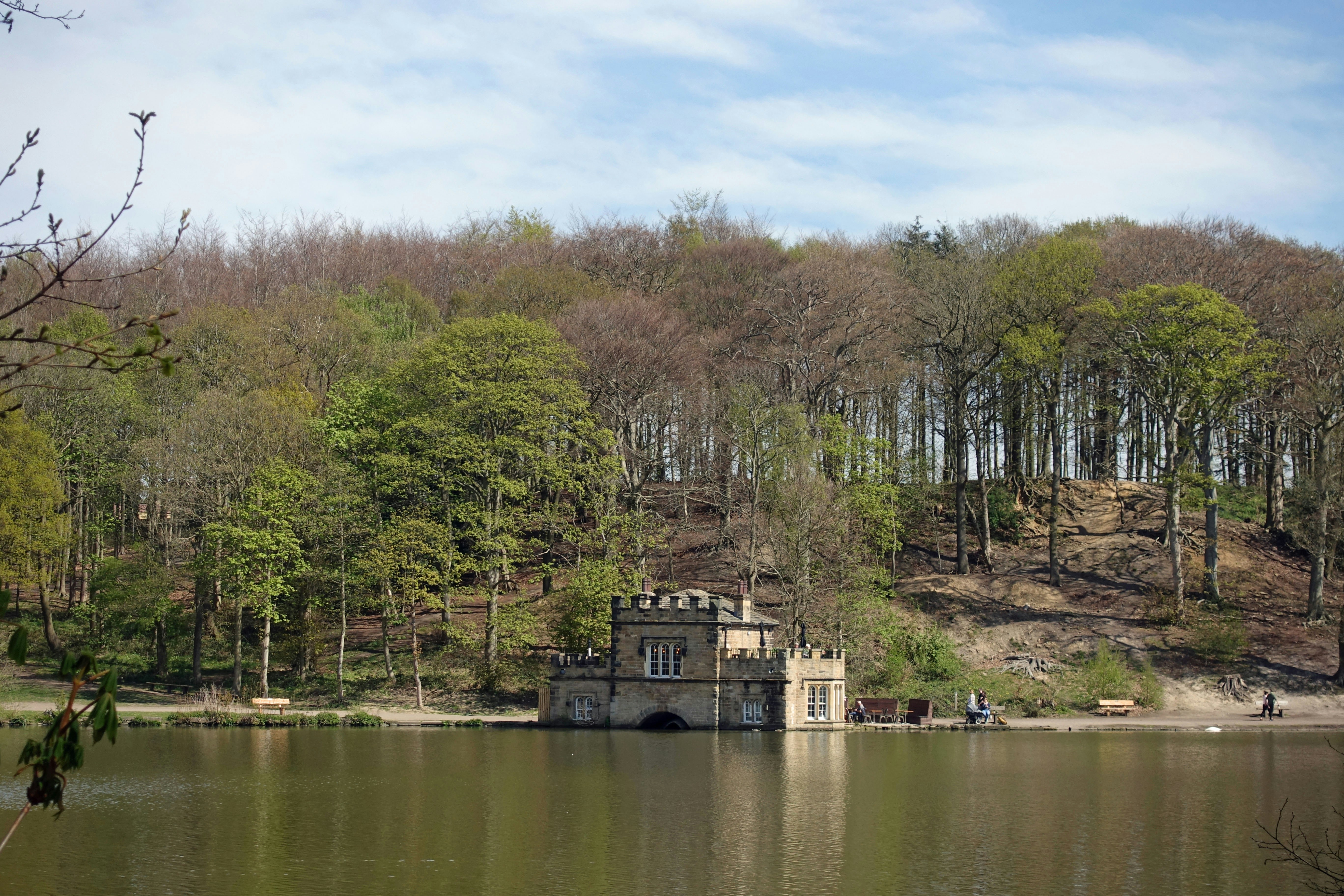 White and brown house near green trees and river during daytime photo ...