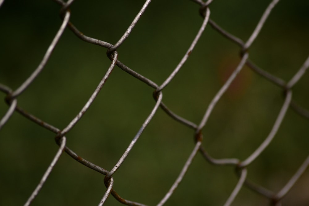 grey metal fence during daytime