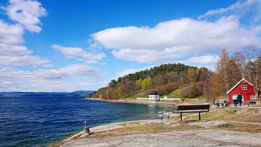 white and brown wooden house near body of water during daytime