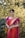 A woman stands gracefully, wearing a vibrant traditional sari in shades of red and deep pink with golden accents. She is adorned with ornate gold jewelry, including a necklace, earrings, bangles, and a decorative headpiece. The background features lush greenery interspersed with small yellow flowers, creating a serene and beautiful setting.