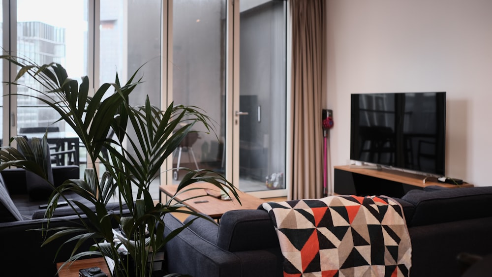 green potted plant near window