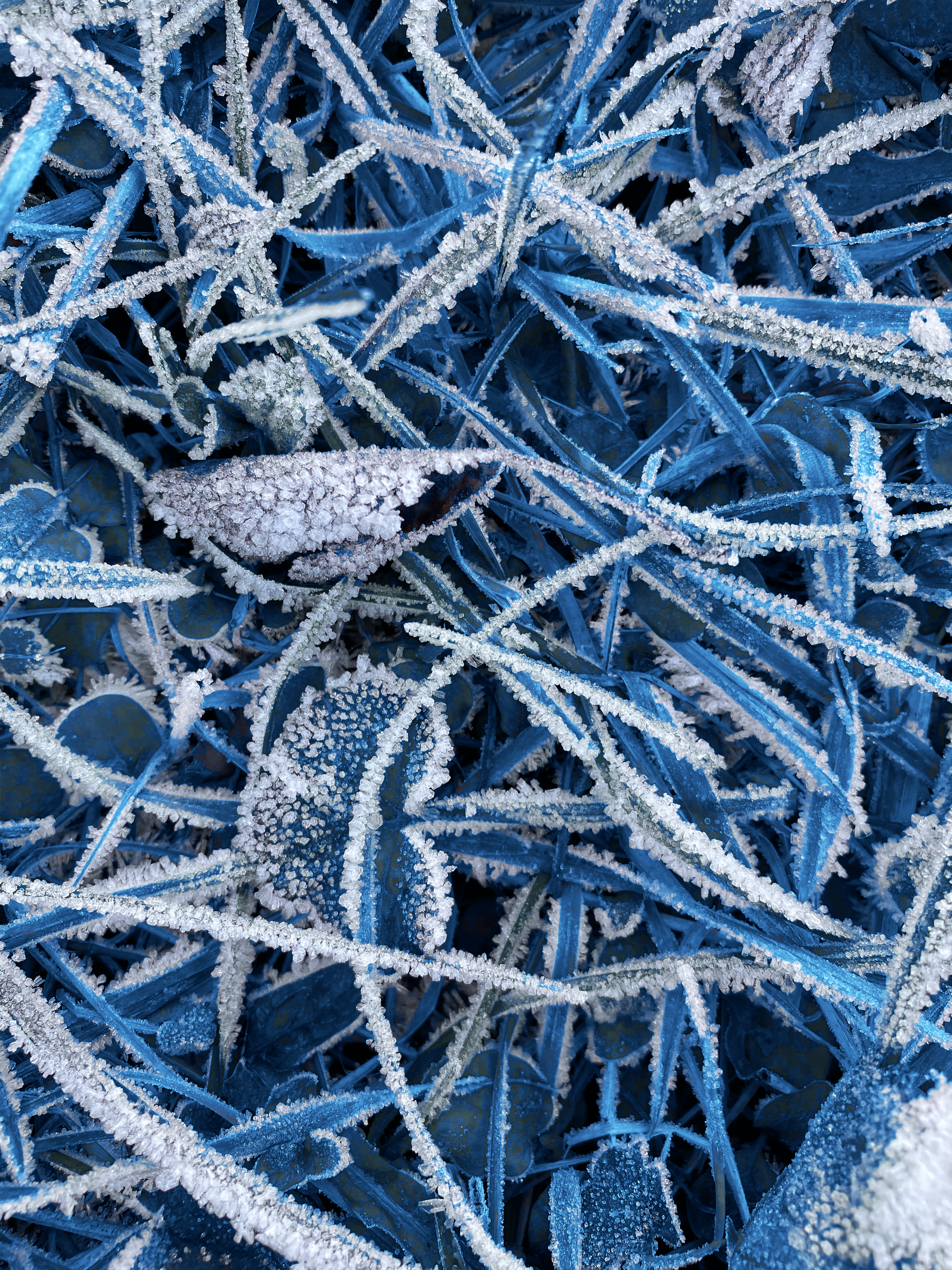 Photo by alexxingplus