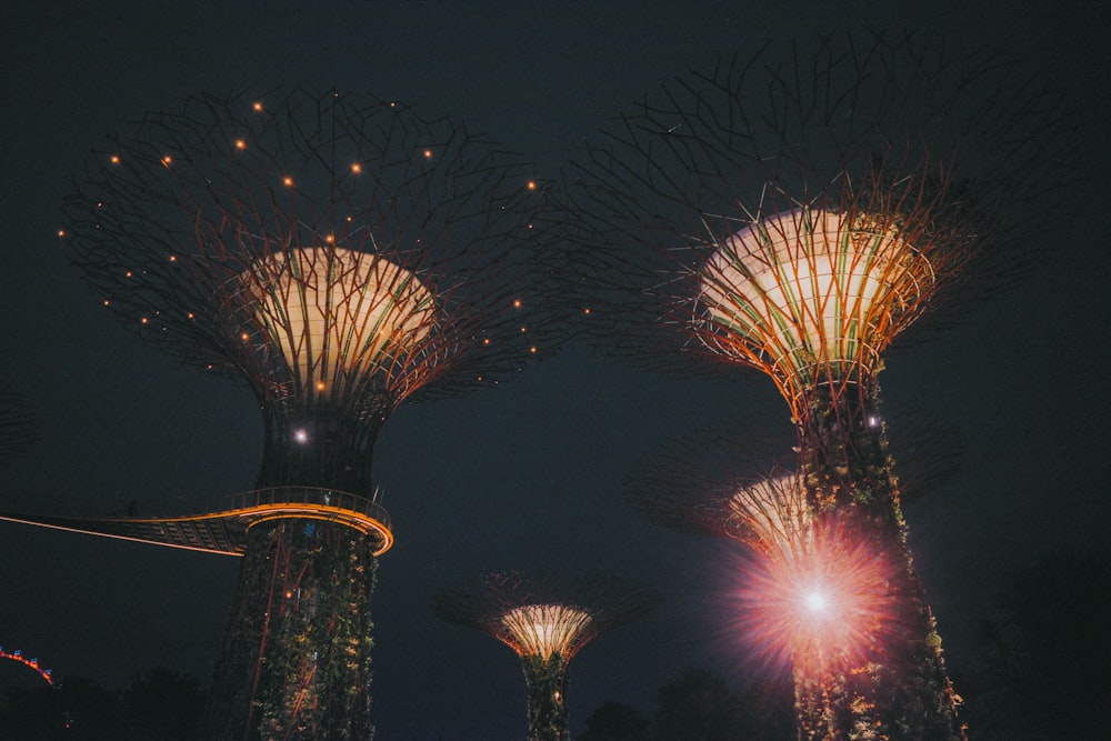 lighted street lights during night time