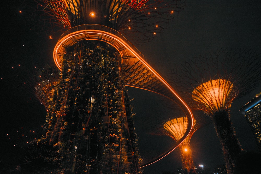 red and yellow string lights on trees during night time