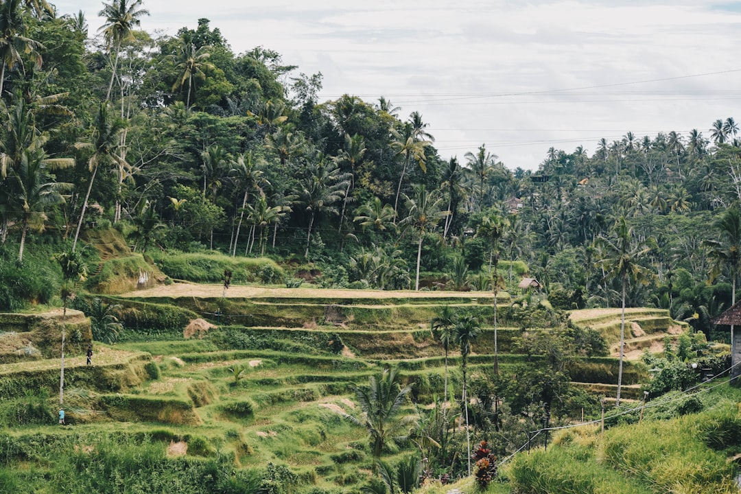 Natural landscape photo spot Bali Situbondo Regency