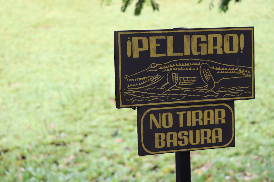 Landscape photo spot Tikal Guatemala