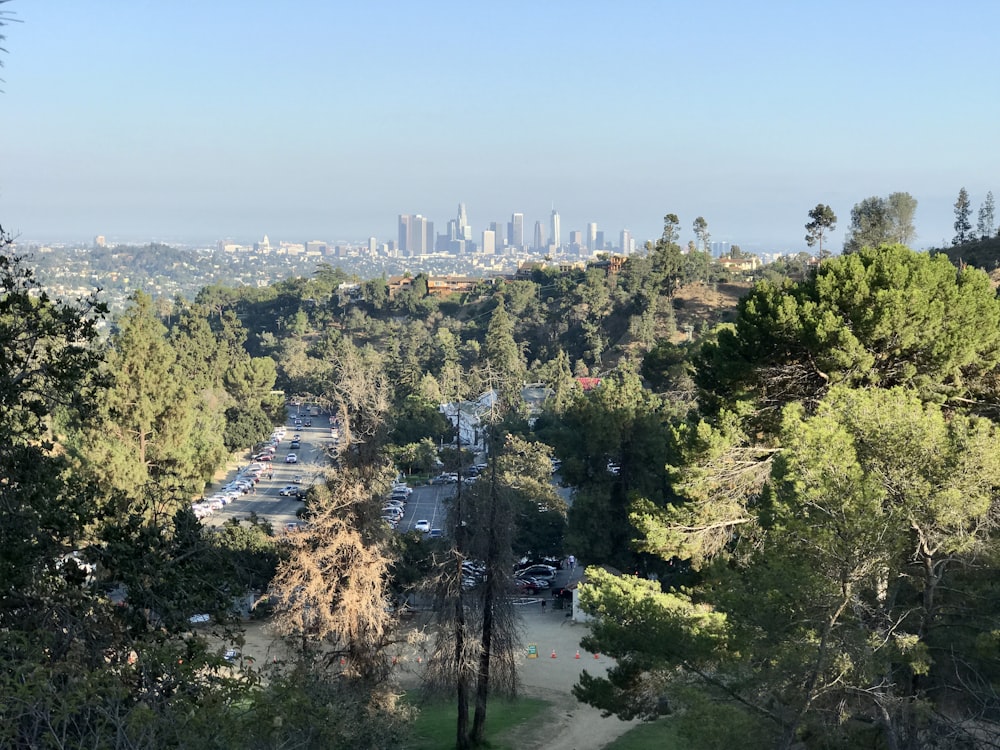 green trees and white buildings during daytime