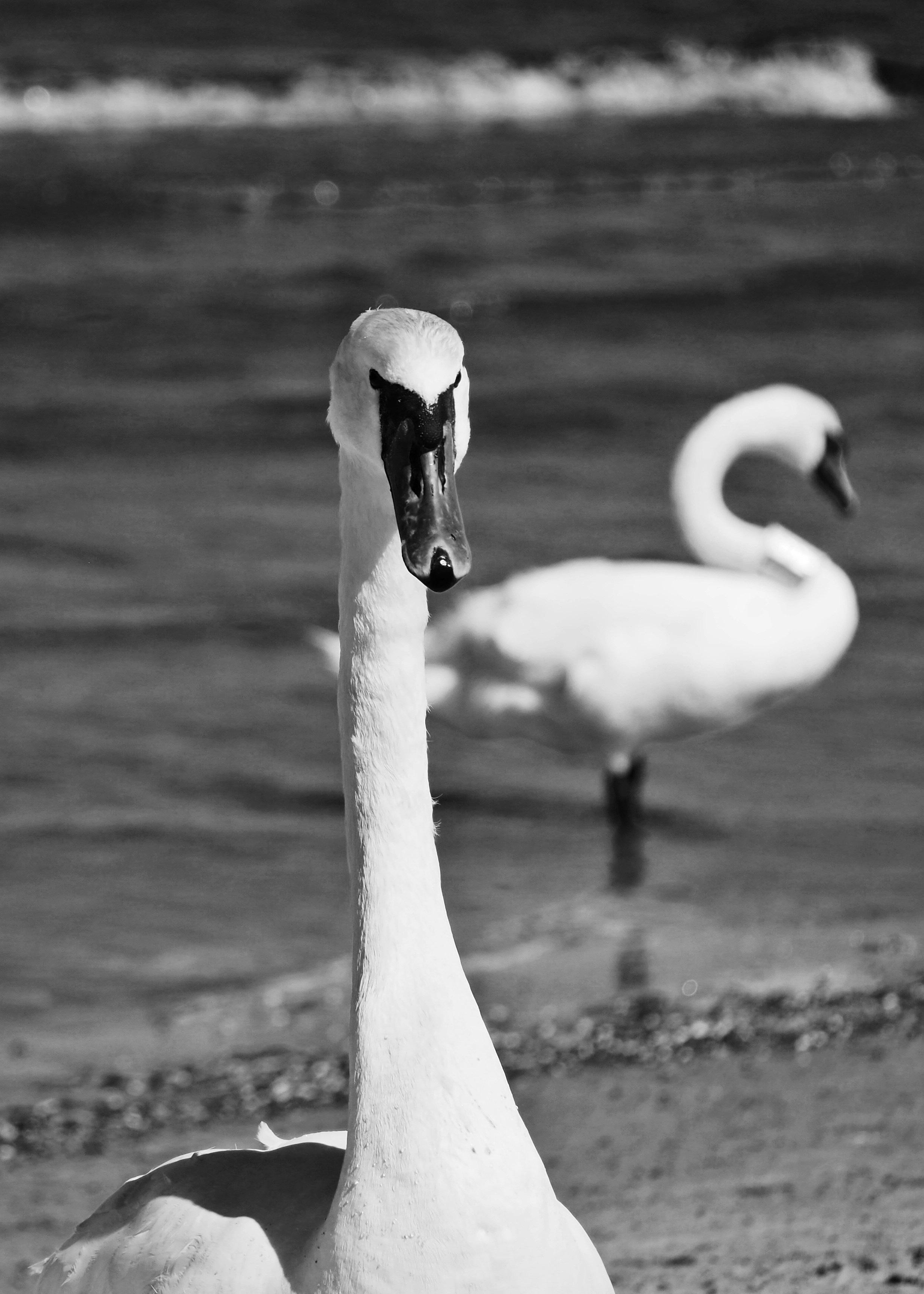 Photo by agatasamulska