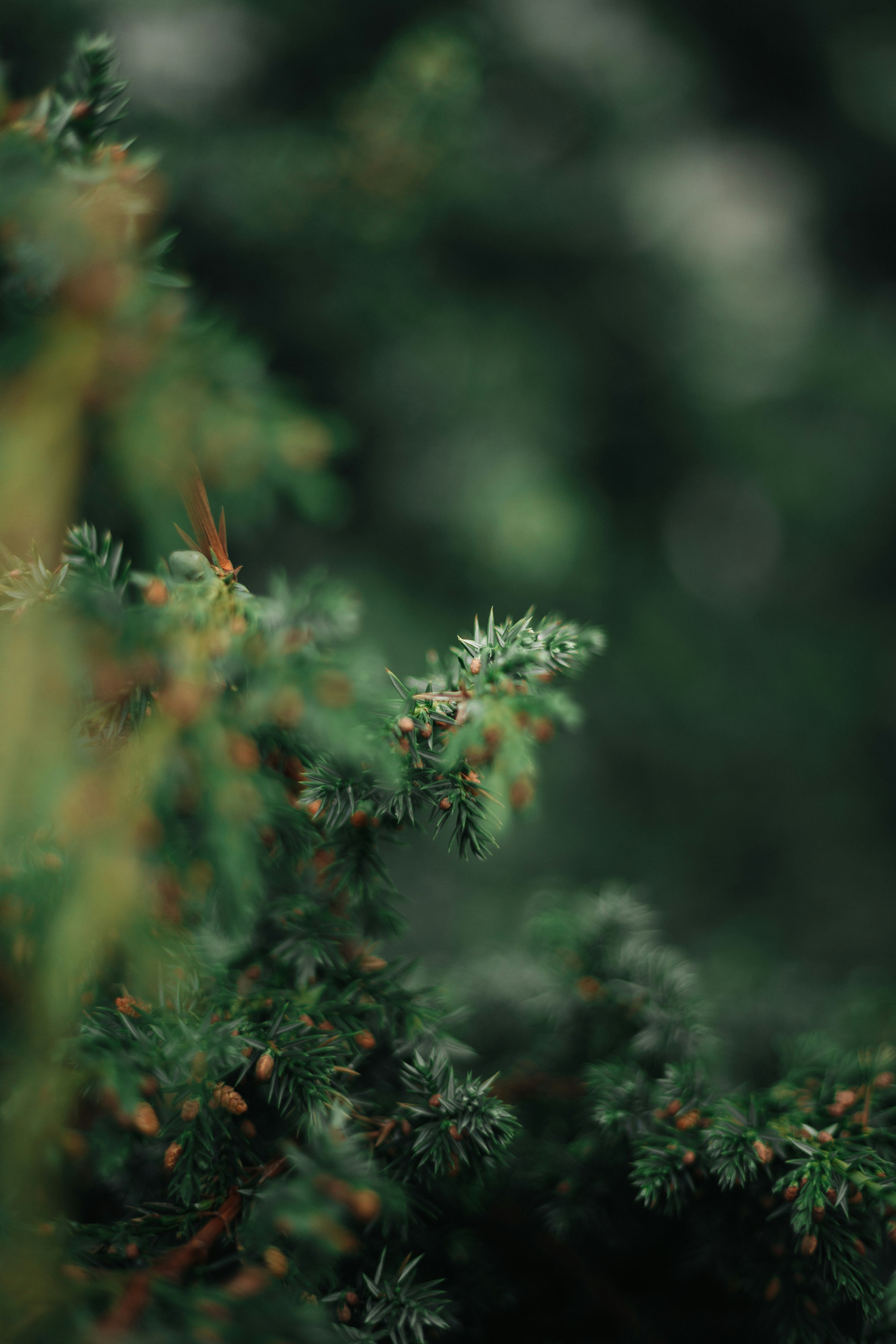 Photo by tobolenkoph