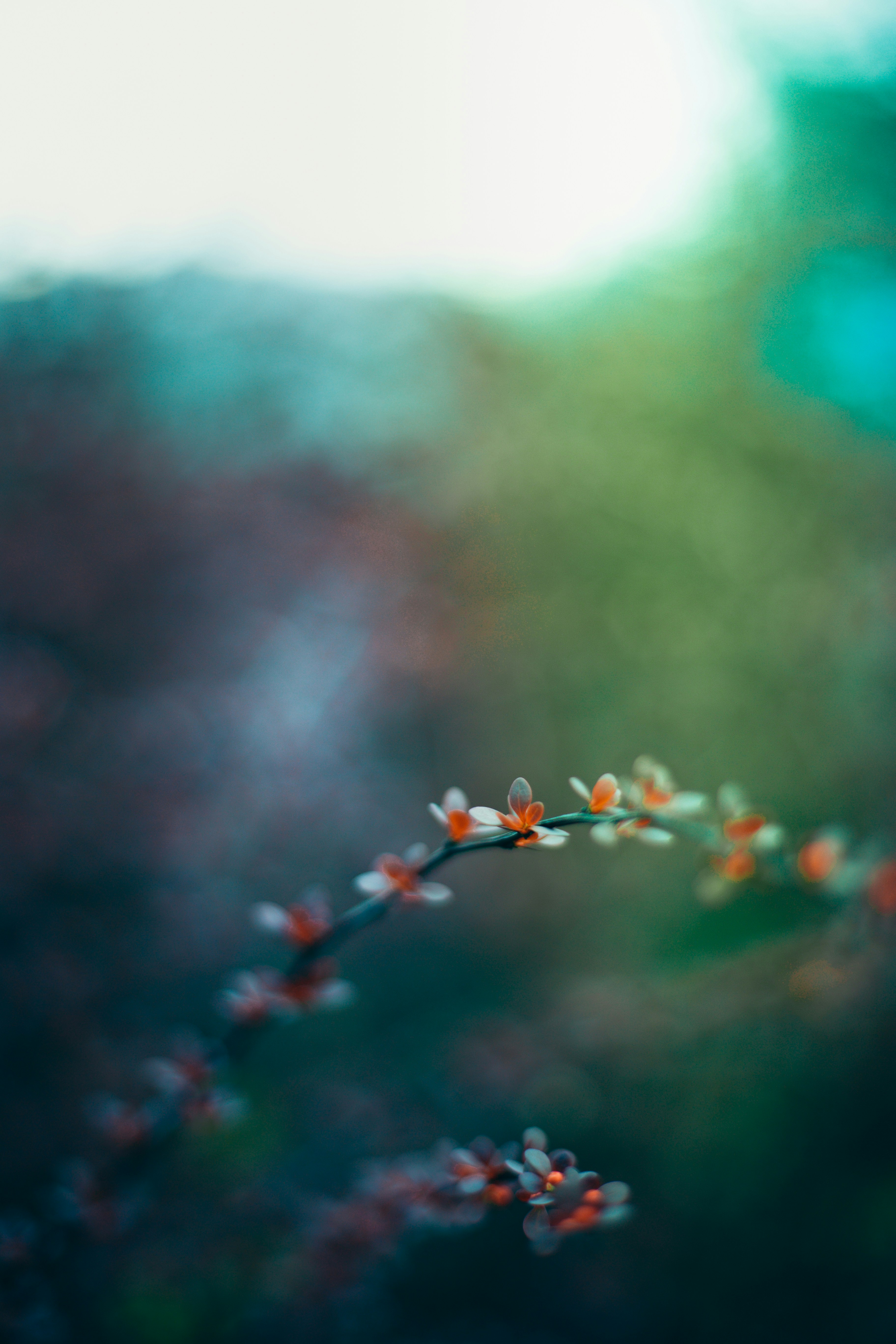 Photo by tobolenkoph