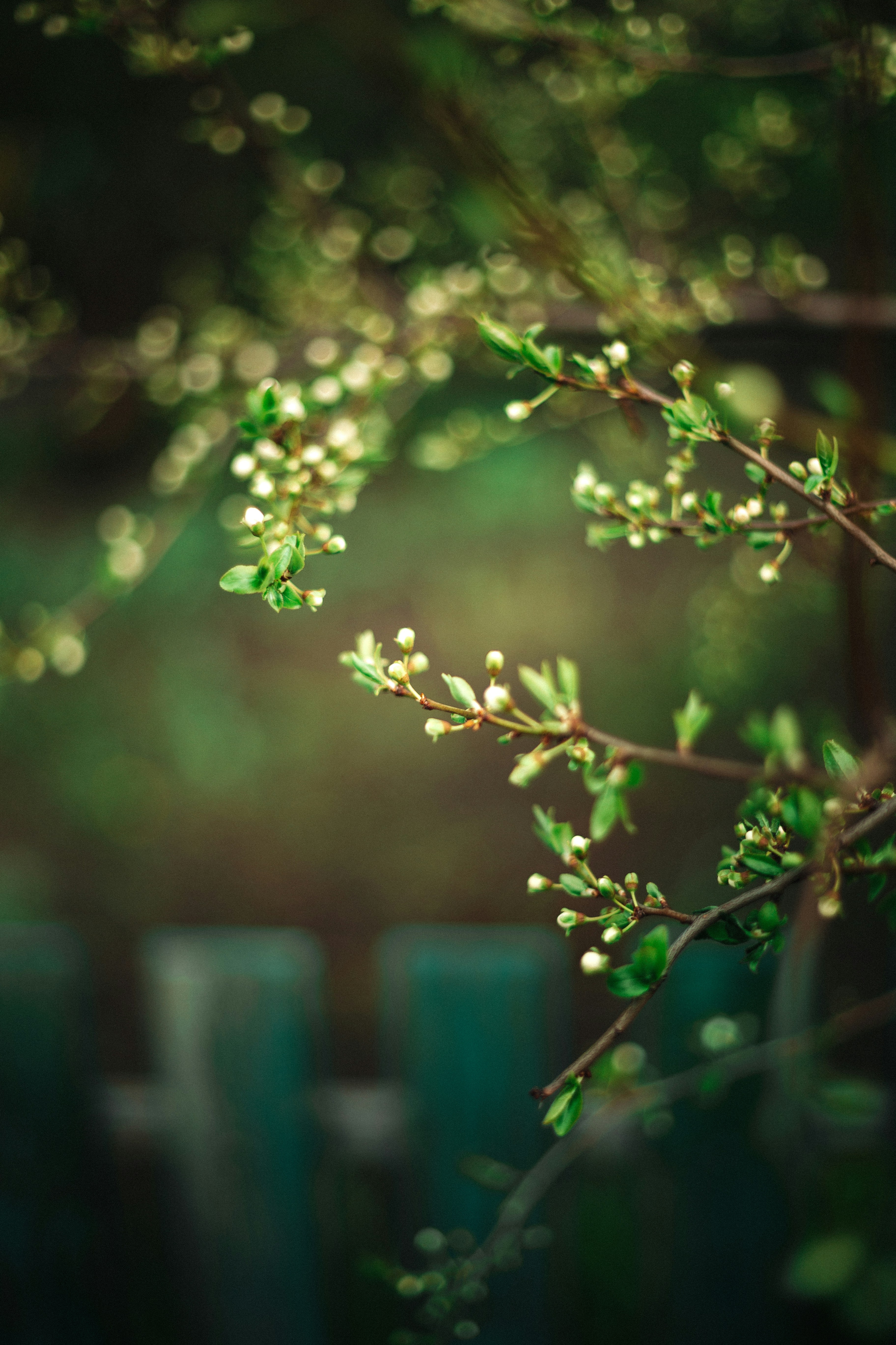 Photo by tobolenkoph