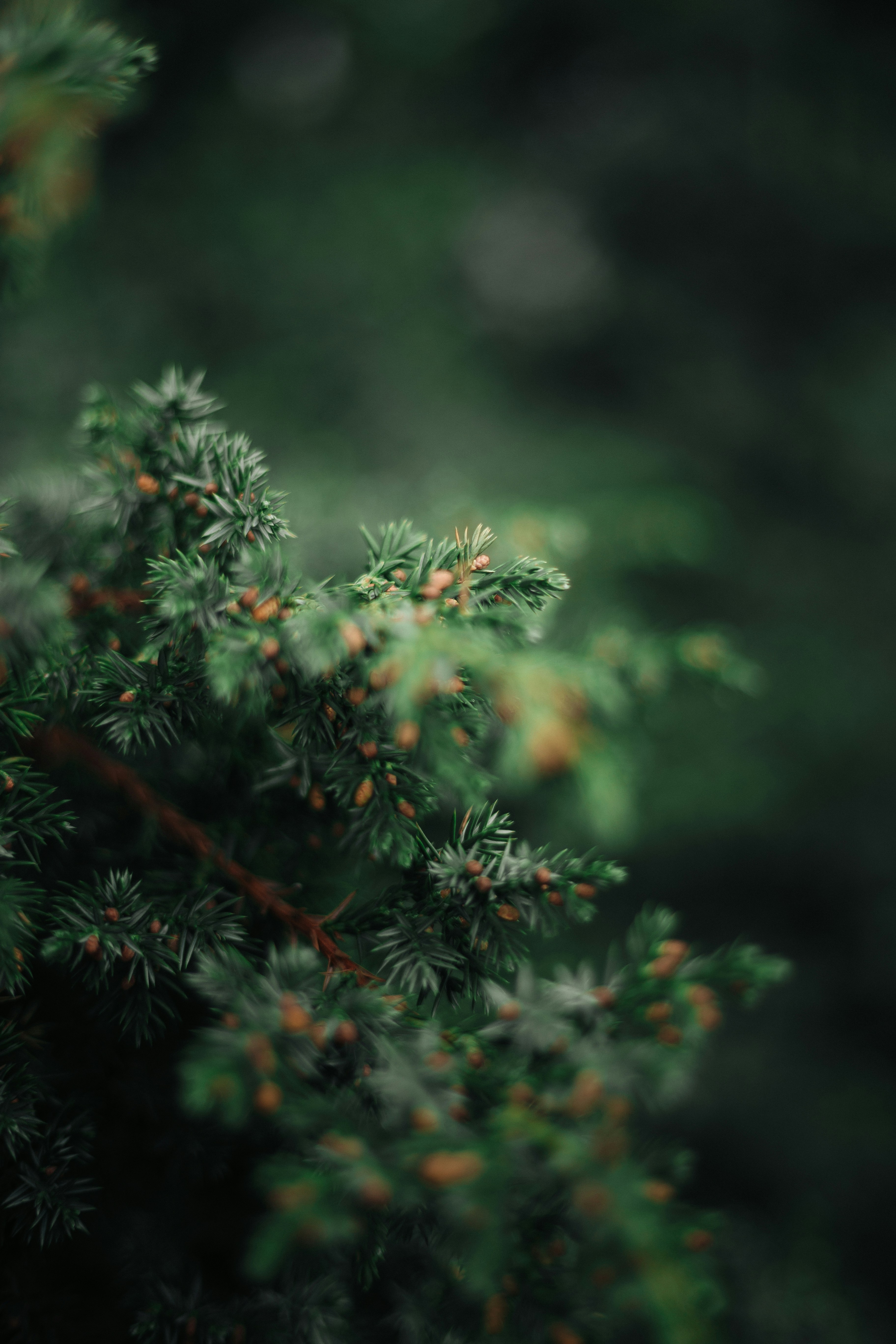 Photo by tobolenkoph