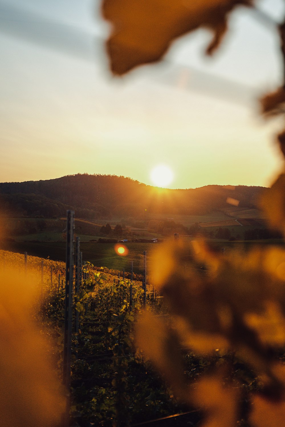 silhouette of mountain during sunset