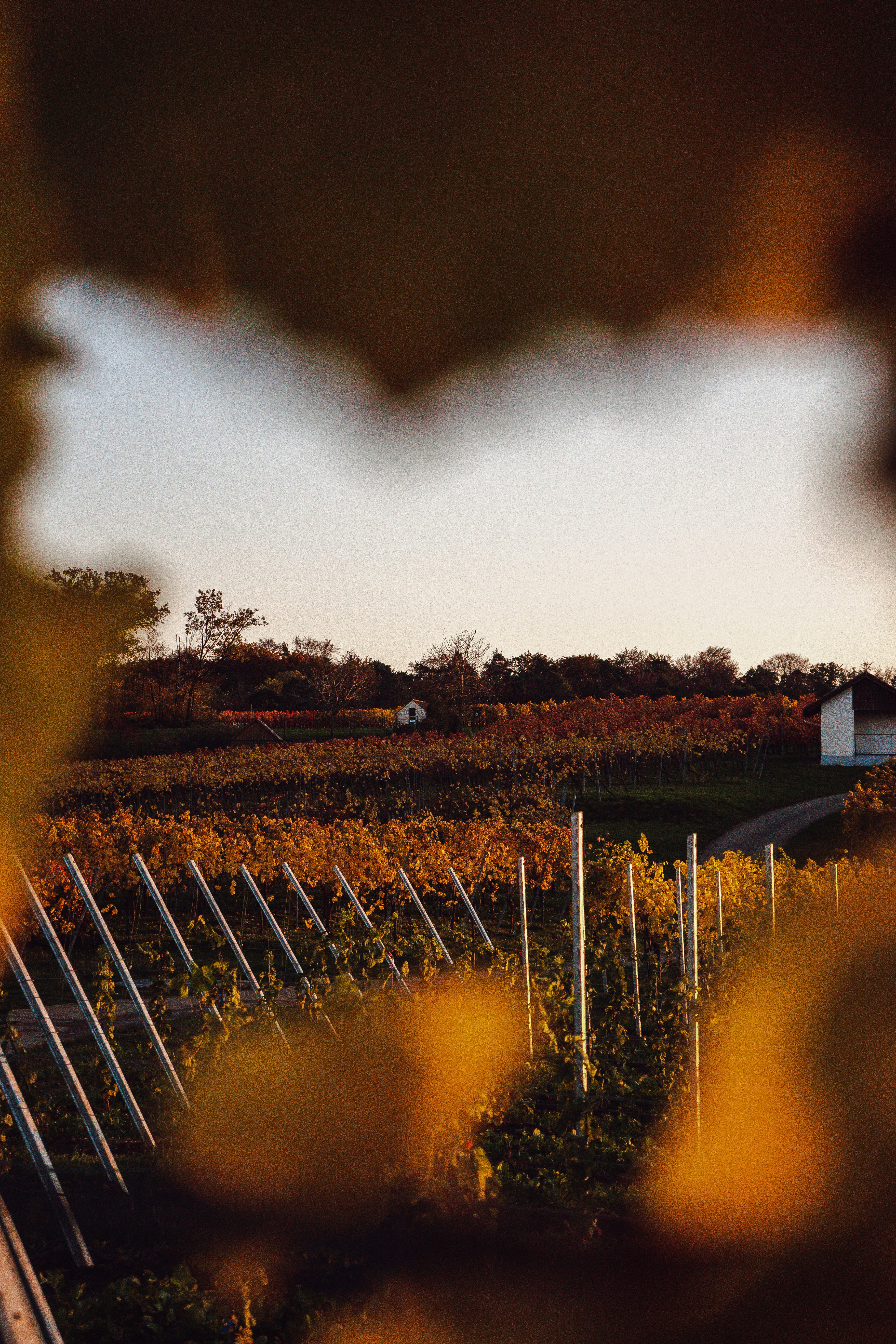 Photo by benjaminmerkle