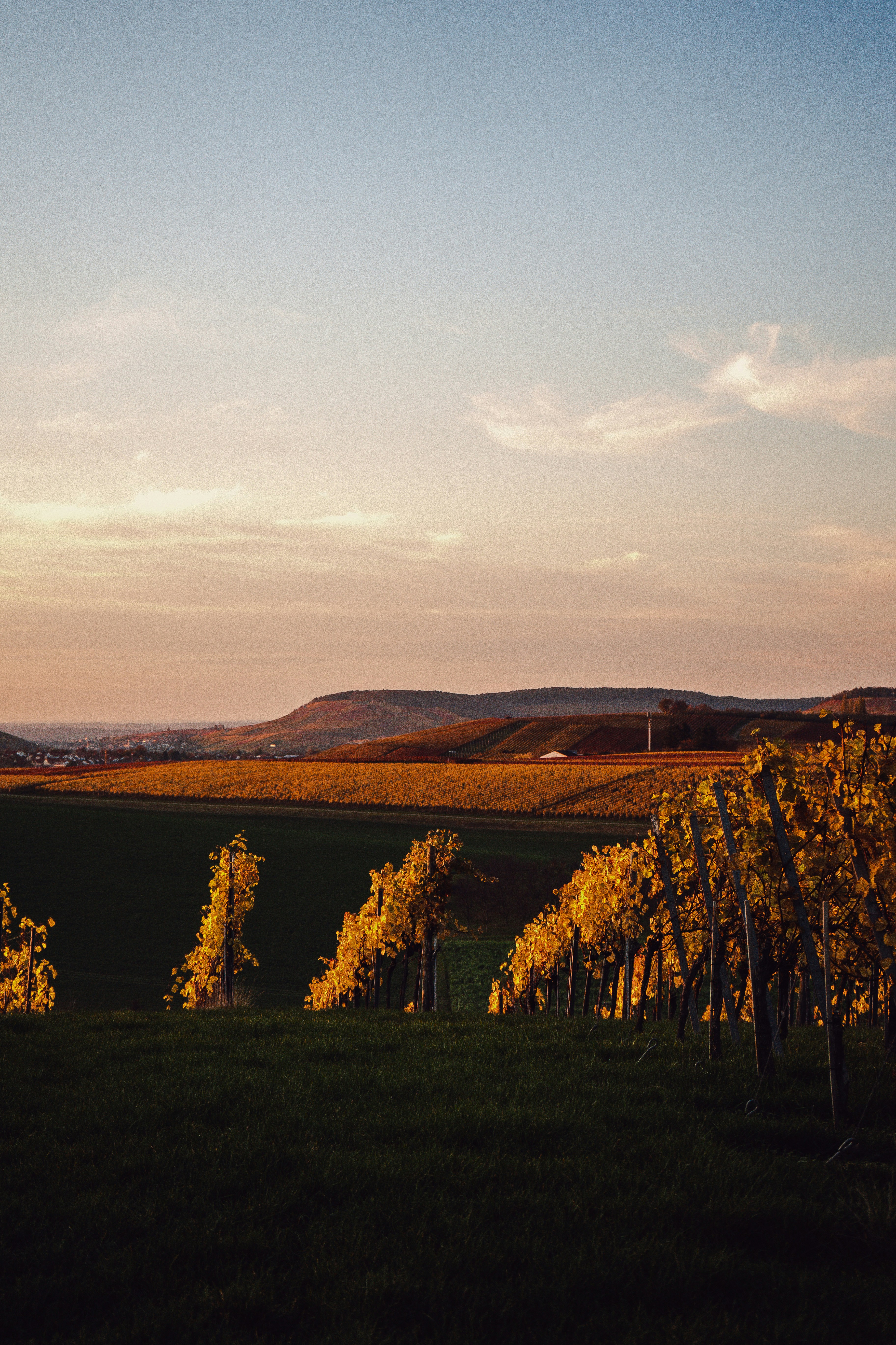 Photo by benjaminmerkle