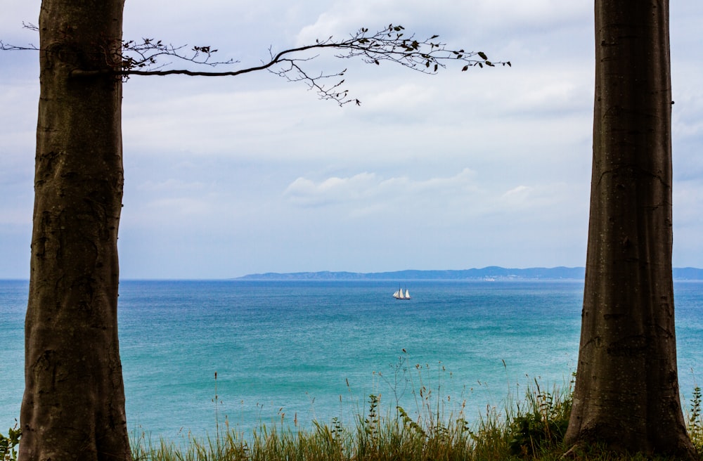 white boat on sea during daytime