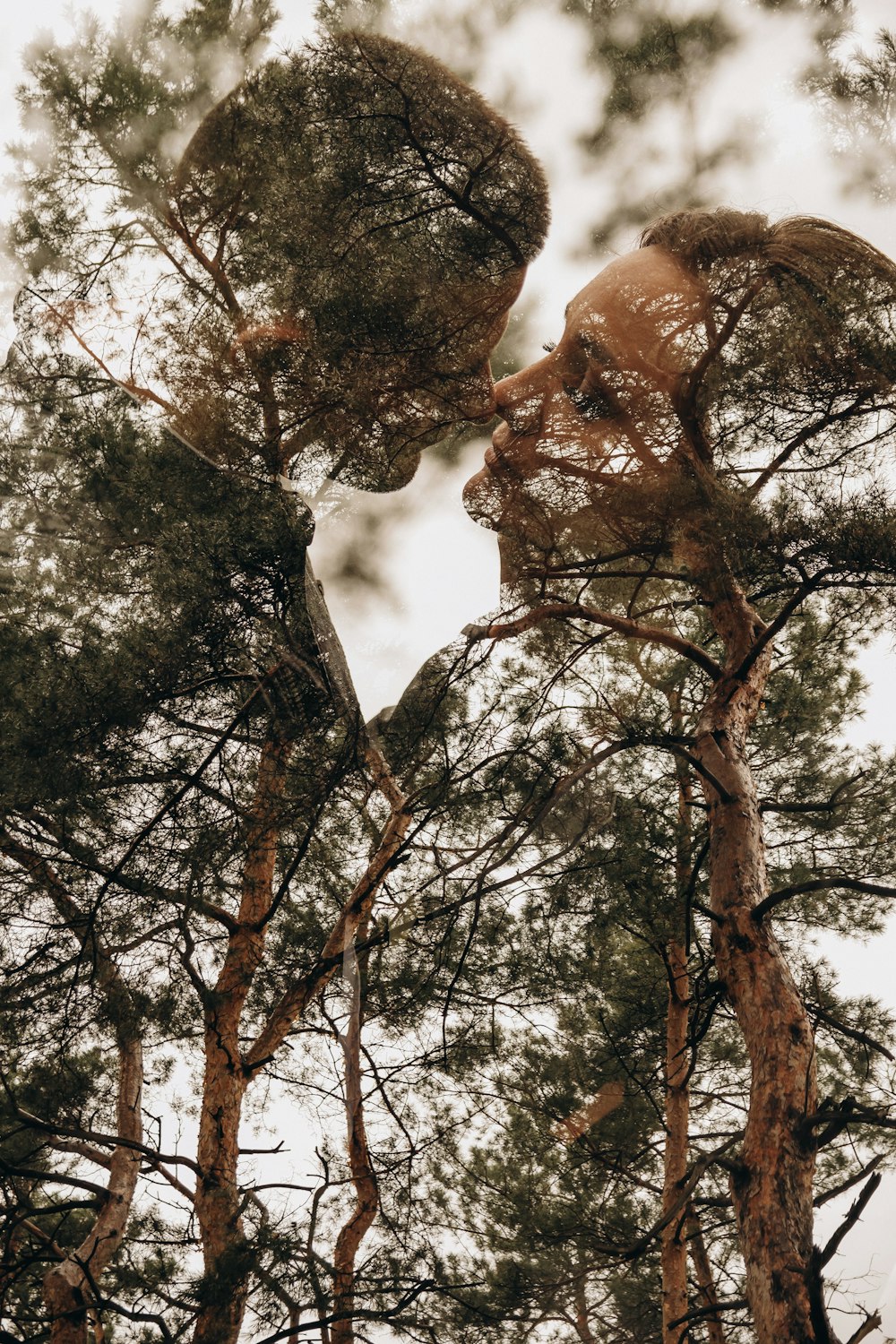 brown tree with green leaves