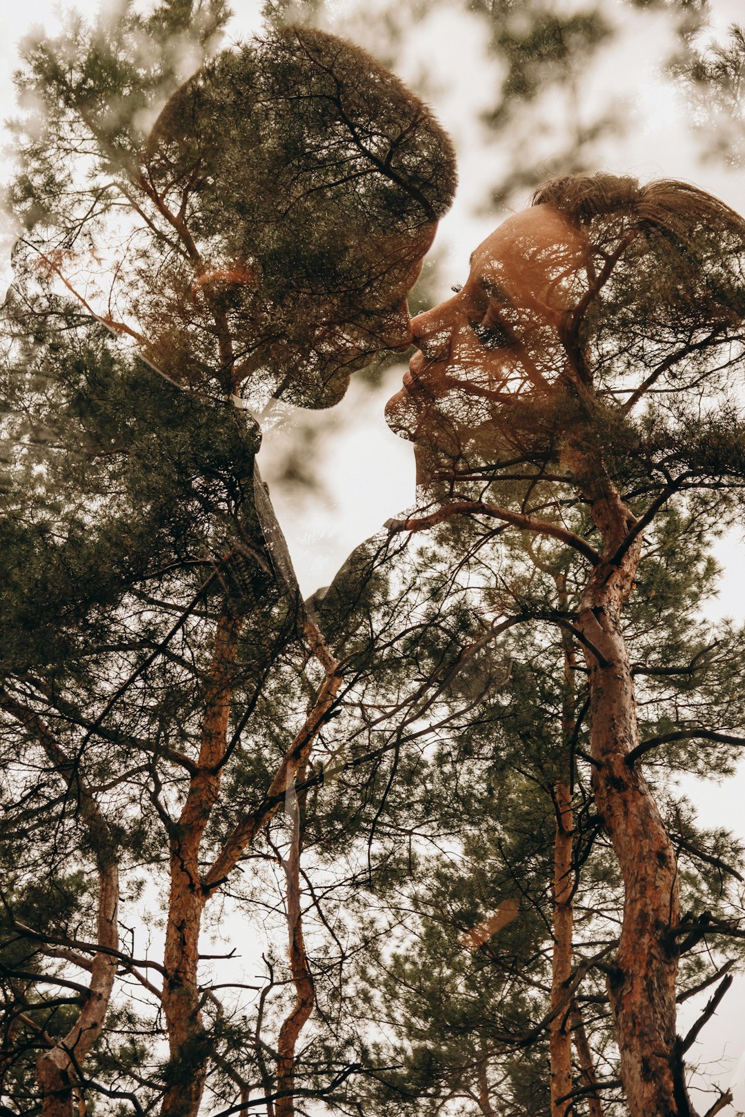 brown tree with green leaves