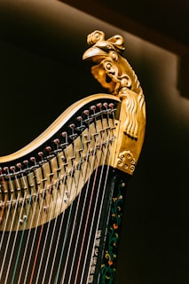 gold and black musical instrument