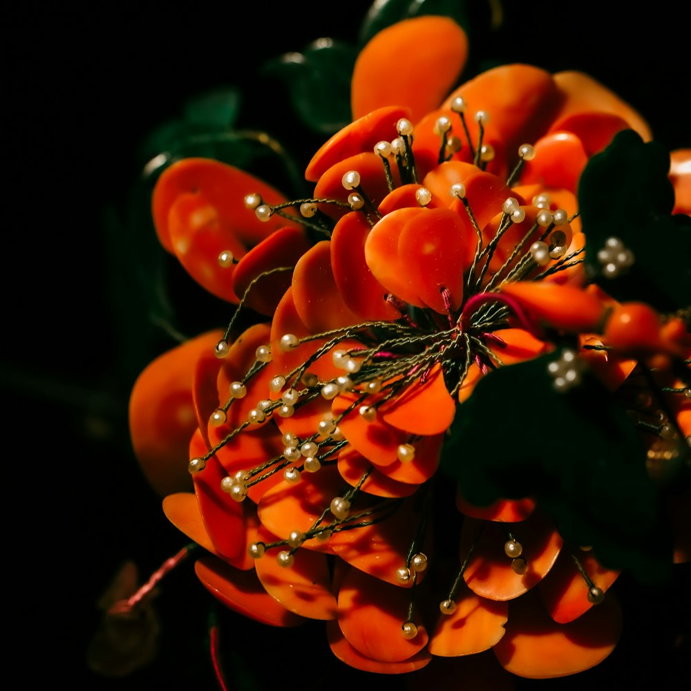 orange and green flower in close up photography