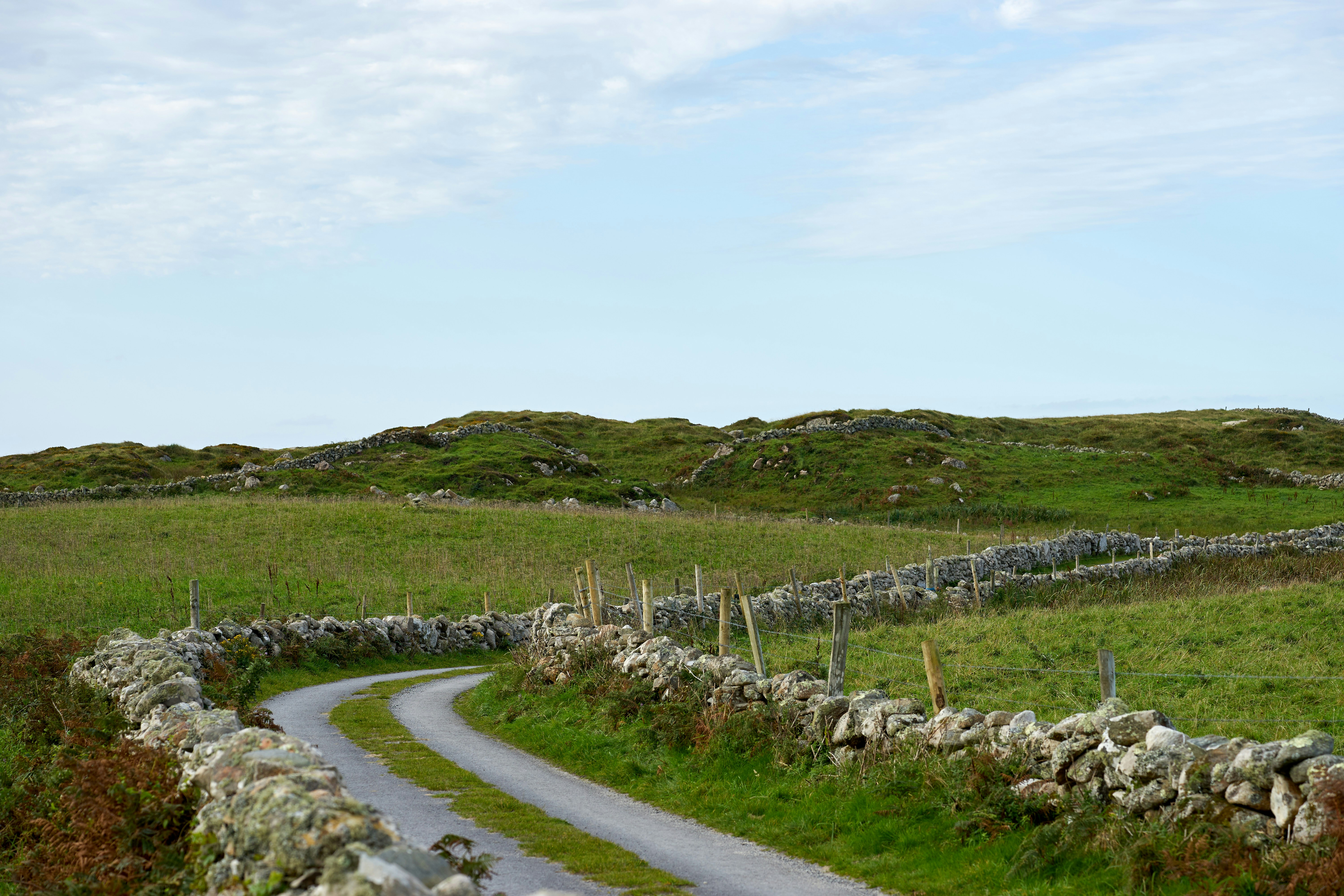 gray concrete road with green grass field