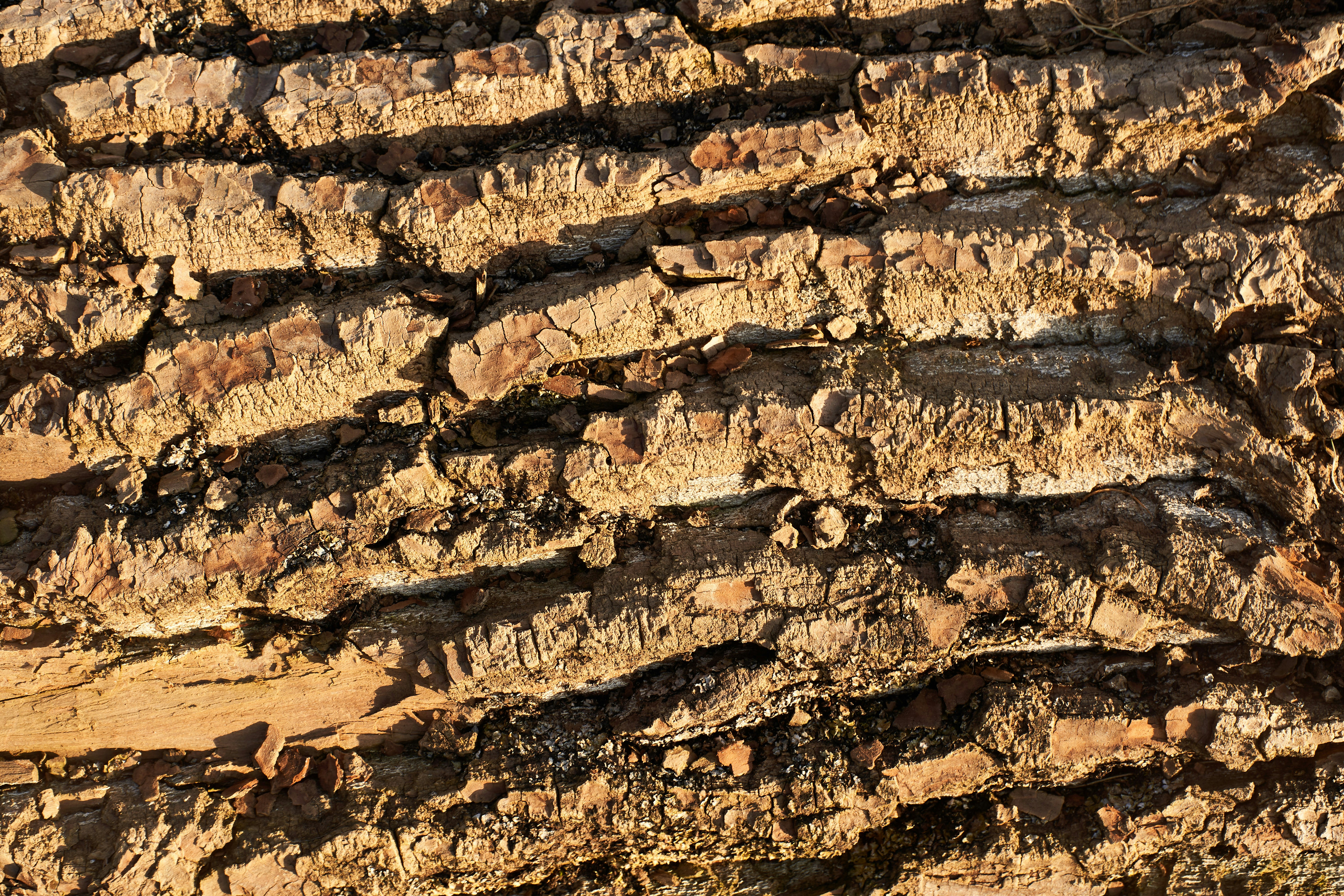 Photo by wolfgang_hasselmann