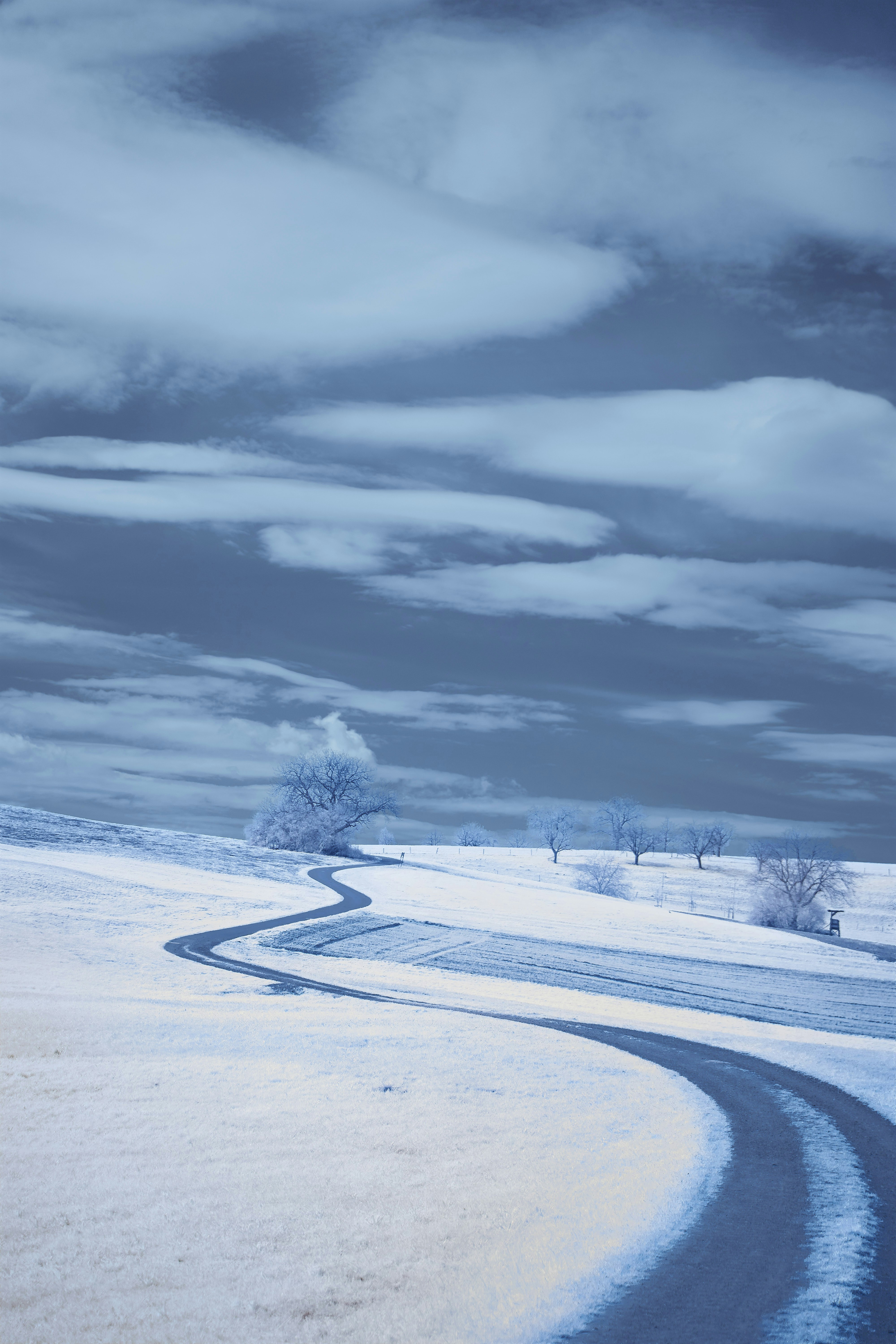 Photo by wolfgang_hasselmann