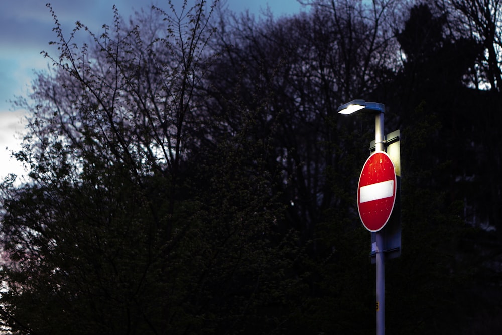 stop sign near green trees during daytime