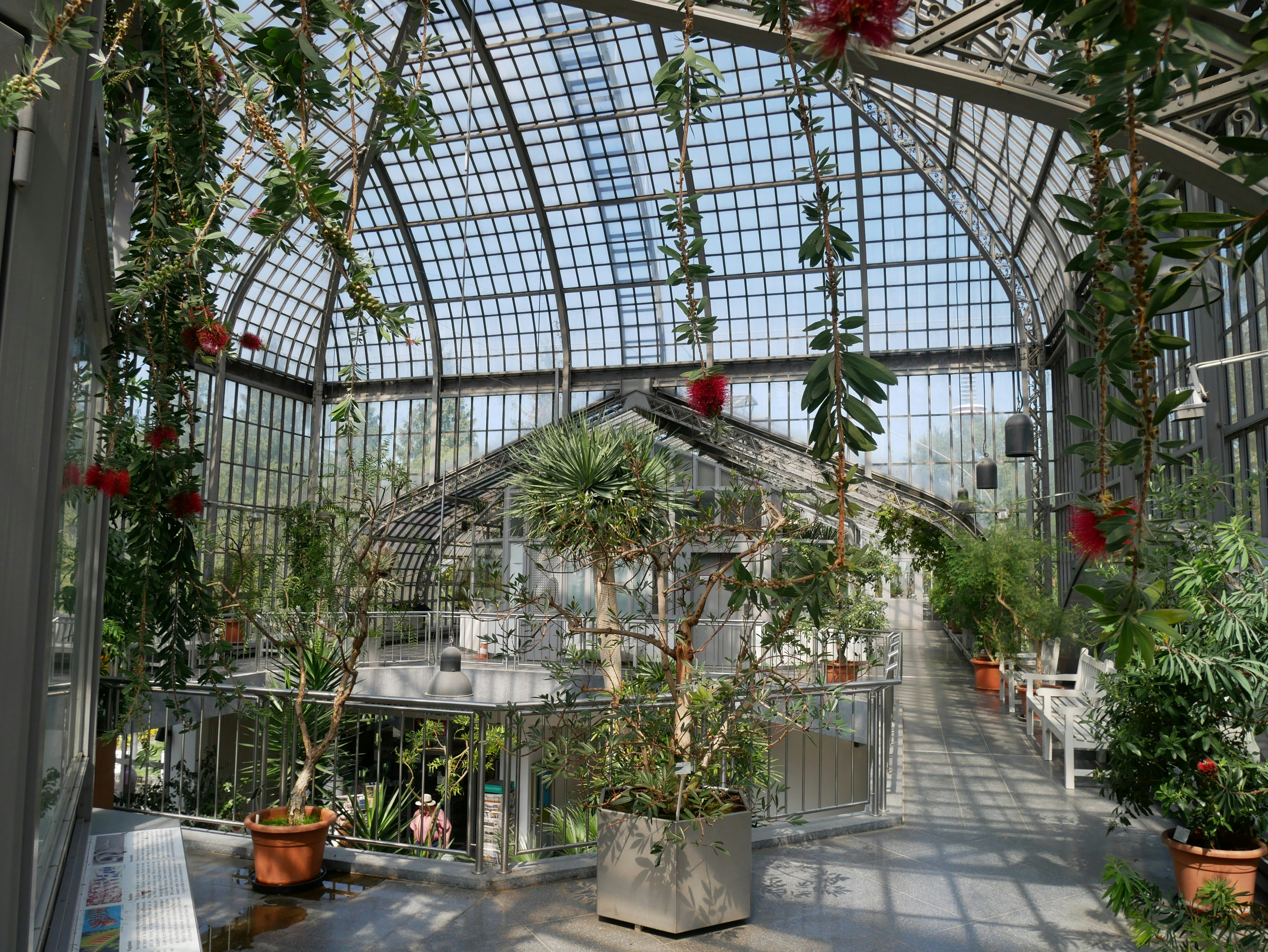 green plants on brown clay pots