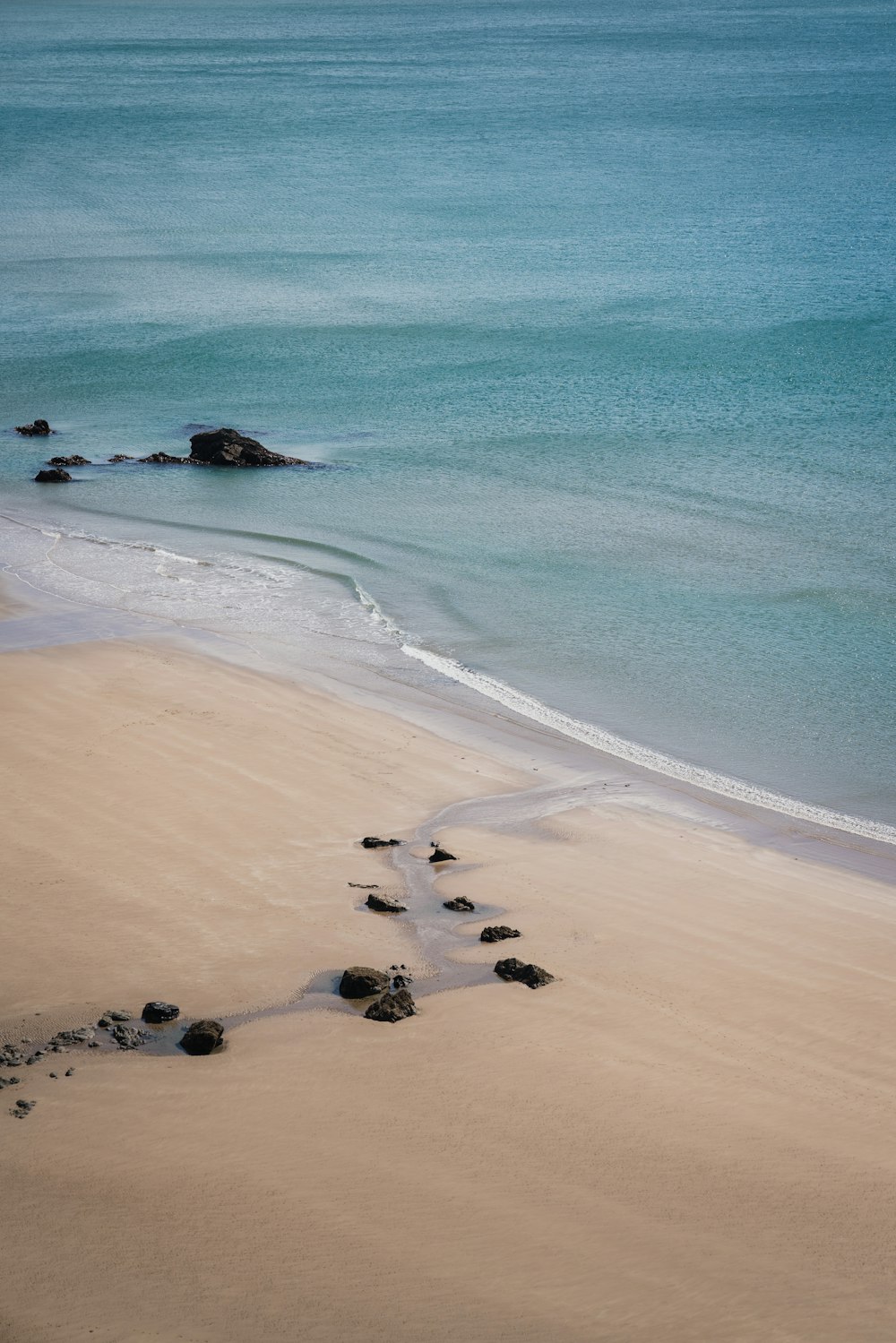 people on beach during daytime