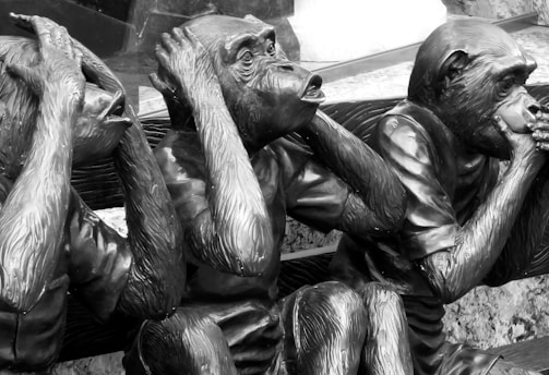 Blind, Dumb & Muted Monkeys Blog - grayscale photo