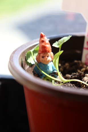 A small ceramic gnome with an orange hat and blue outfit is nestled within a brown plant pot. The gnome is surrounded by dark soil and a few green seedlings, suggesting a potted plant setting in a sunlit environment.