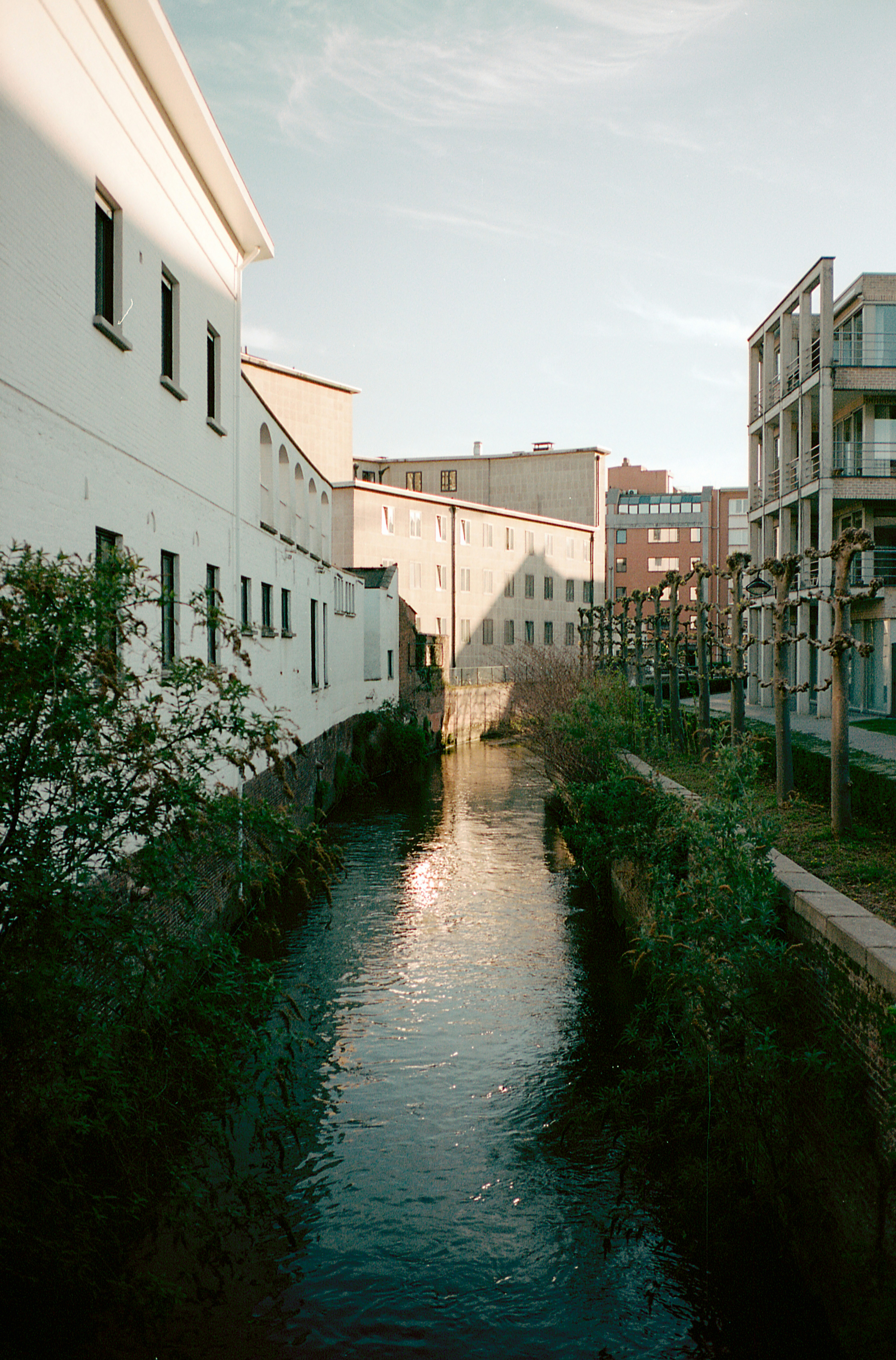 Photo by jonasdenil