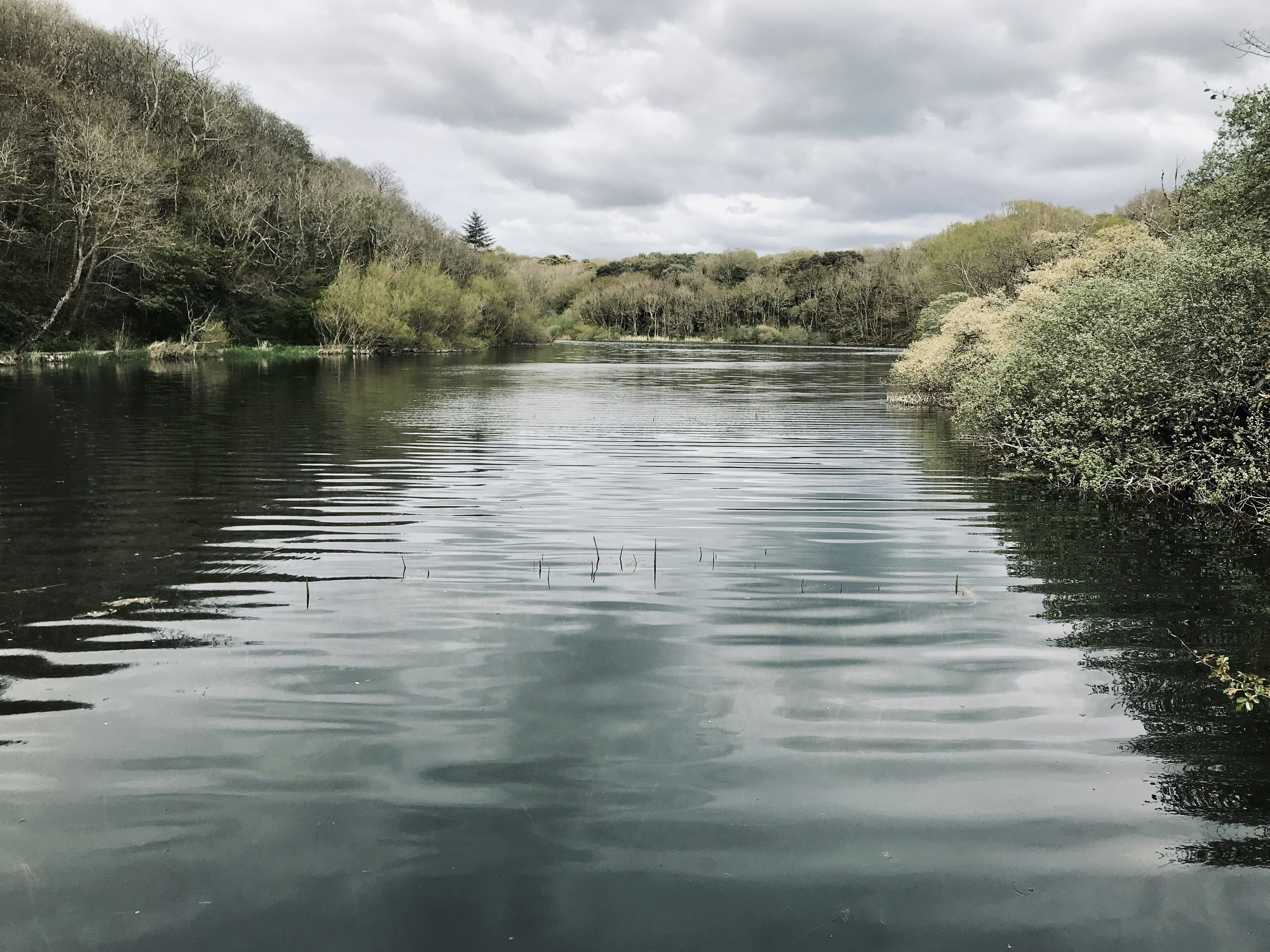 Photo by andywatkins