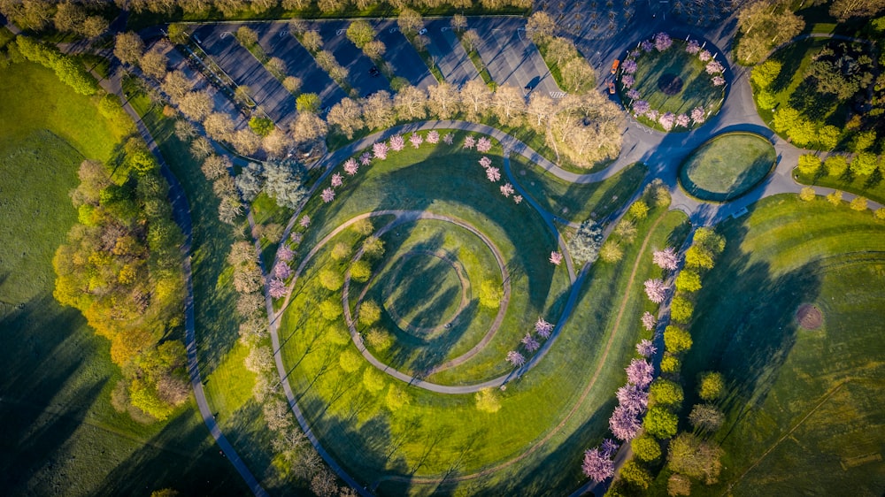 aerial view of green and blue river