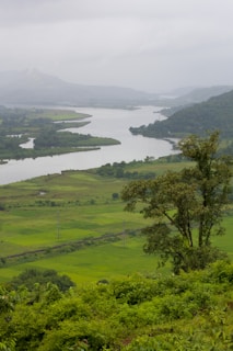 Lush green landscape of the Segura River winding through Murcia countryside