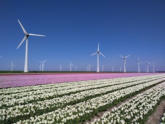 wind turbines on green grass field under blue sky during daytime