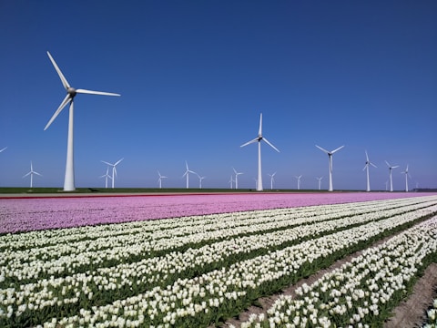 wind turbines on green grass field under blue sky during daytime