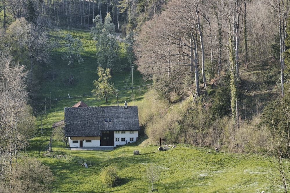 Maison brune sur un champ d’herbe verte près des arbres pendant la journée