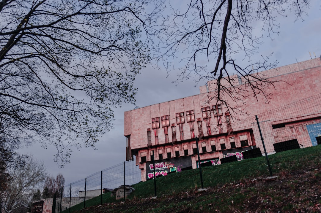 brown concrete building near bare trees during daytime