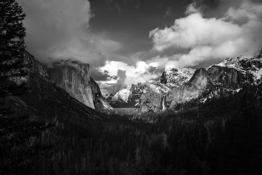 grayscale photo of trees near mountain range