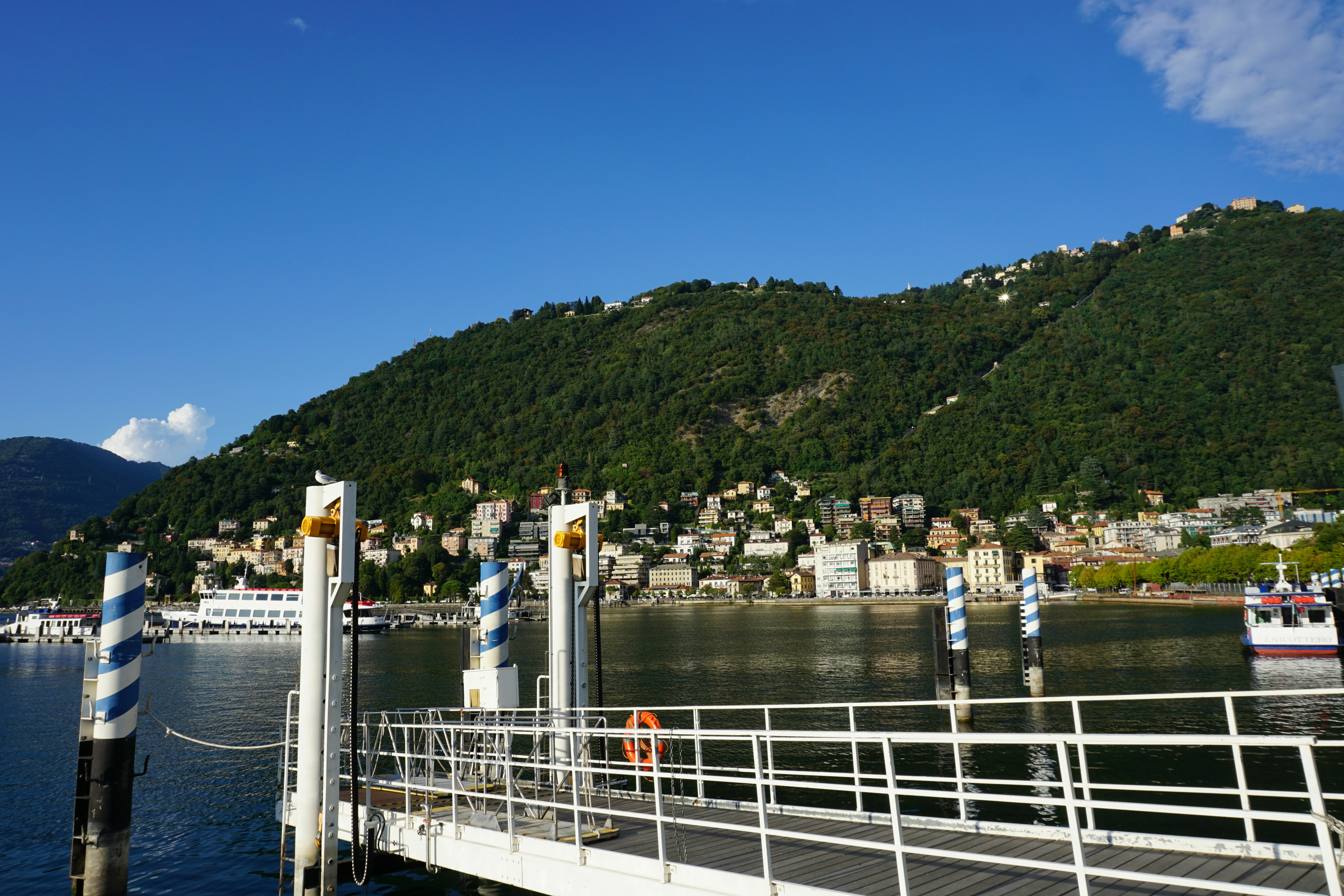 Cómo convertirse en un programador profesional: habilidades y conocimientos necesarios