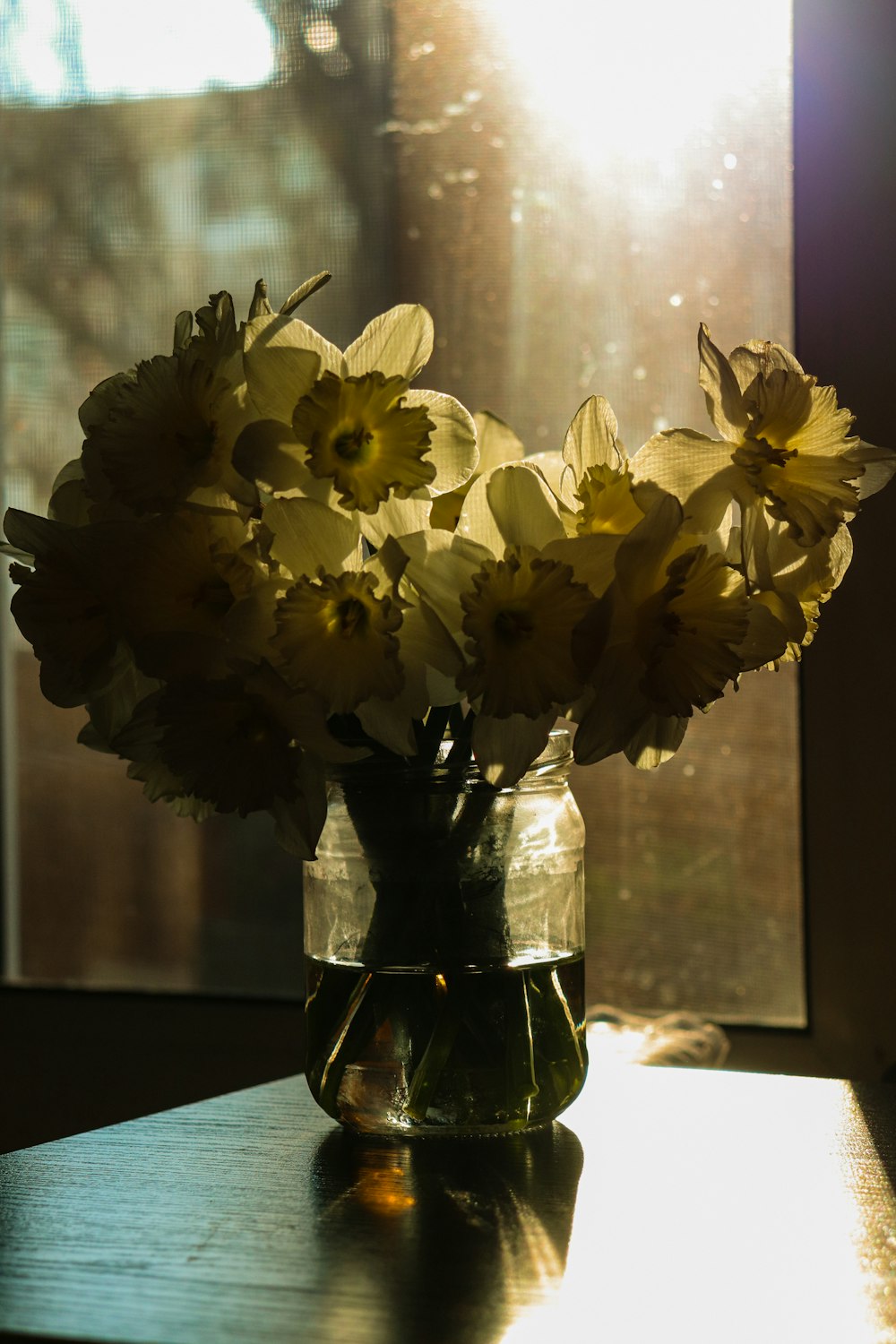 yellow and white flowers in clear glass vase