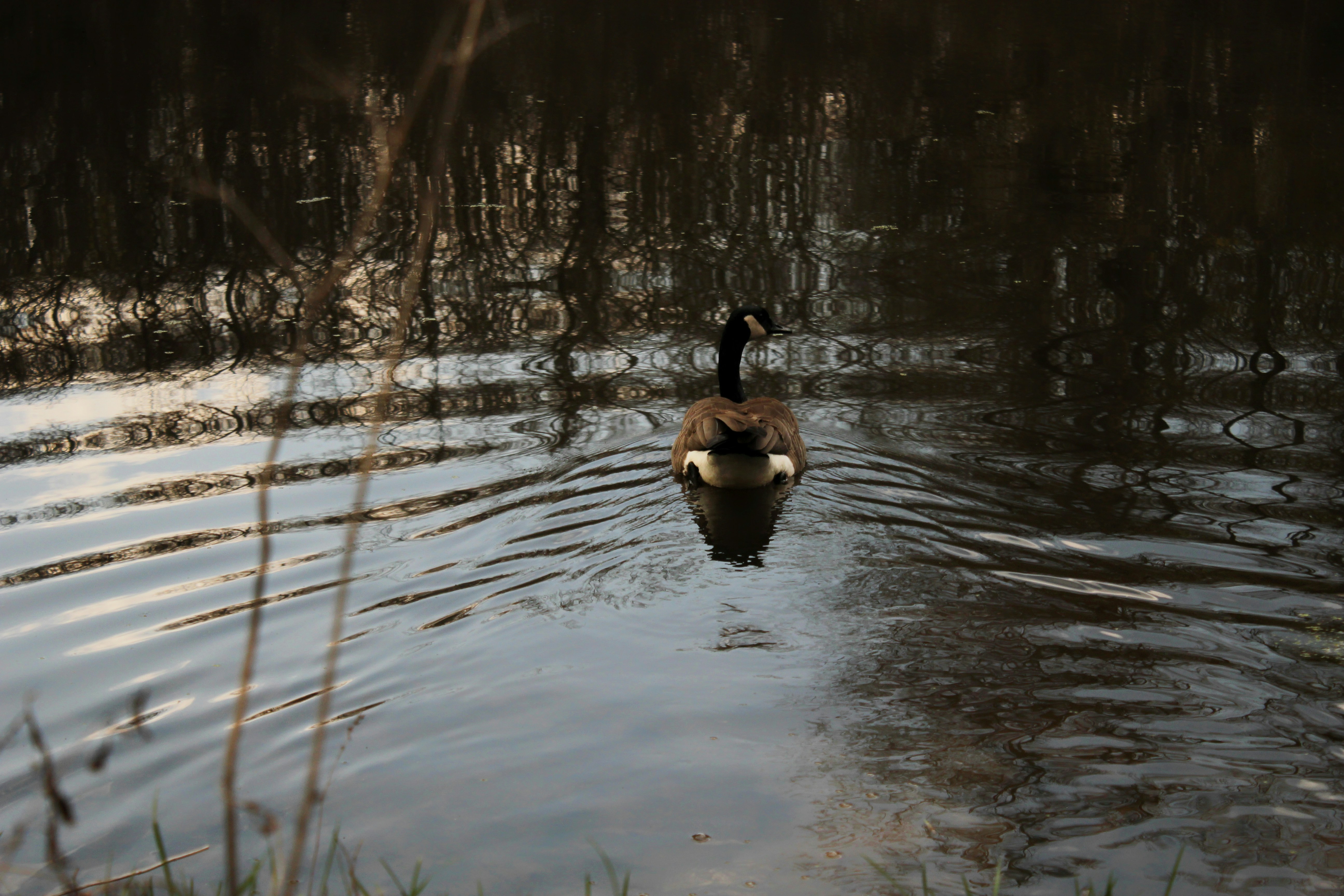 Photo by mrgreatheart