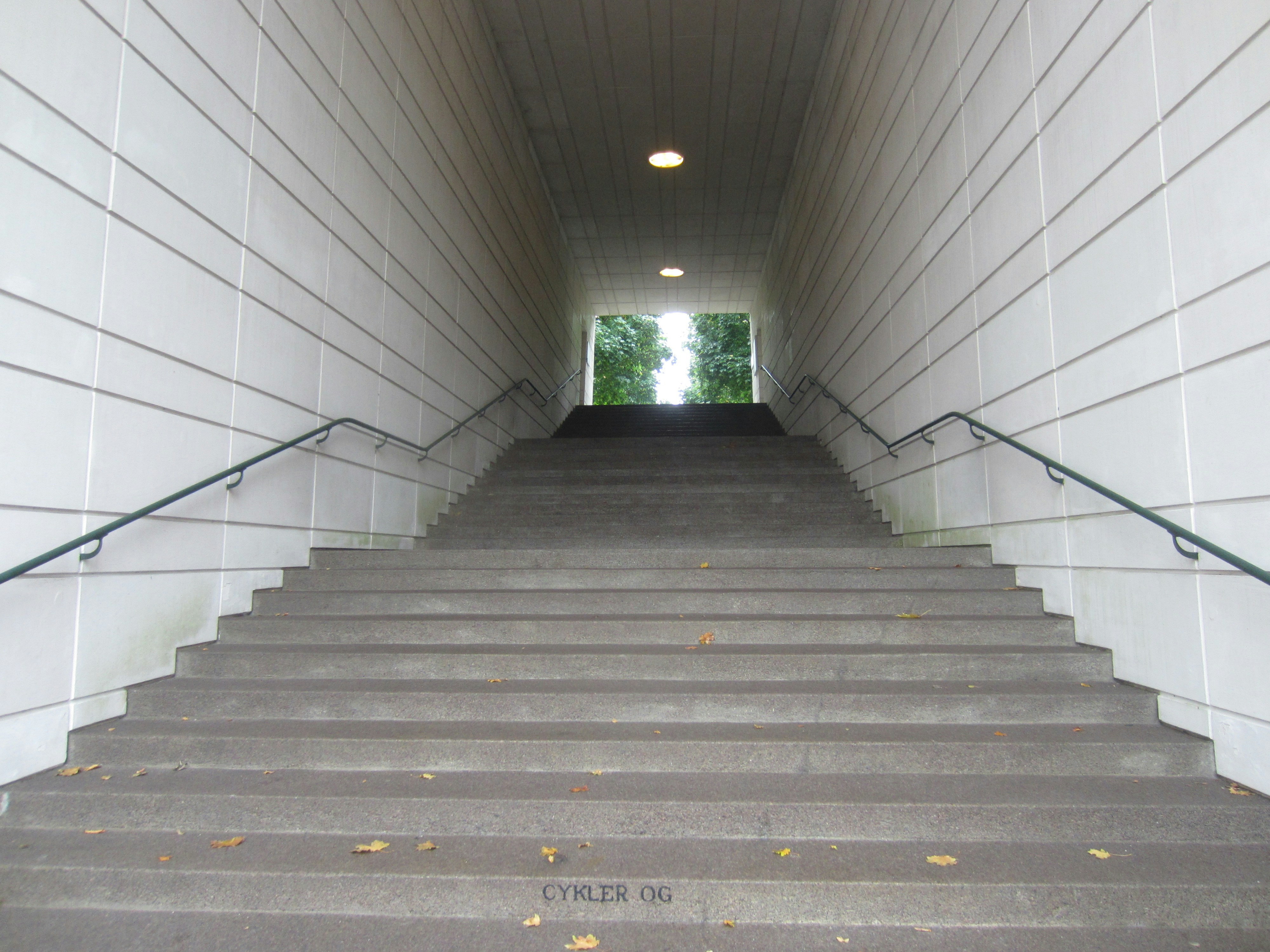 brown wooden staircase with stainless steel railings