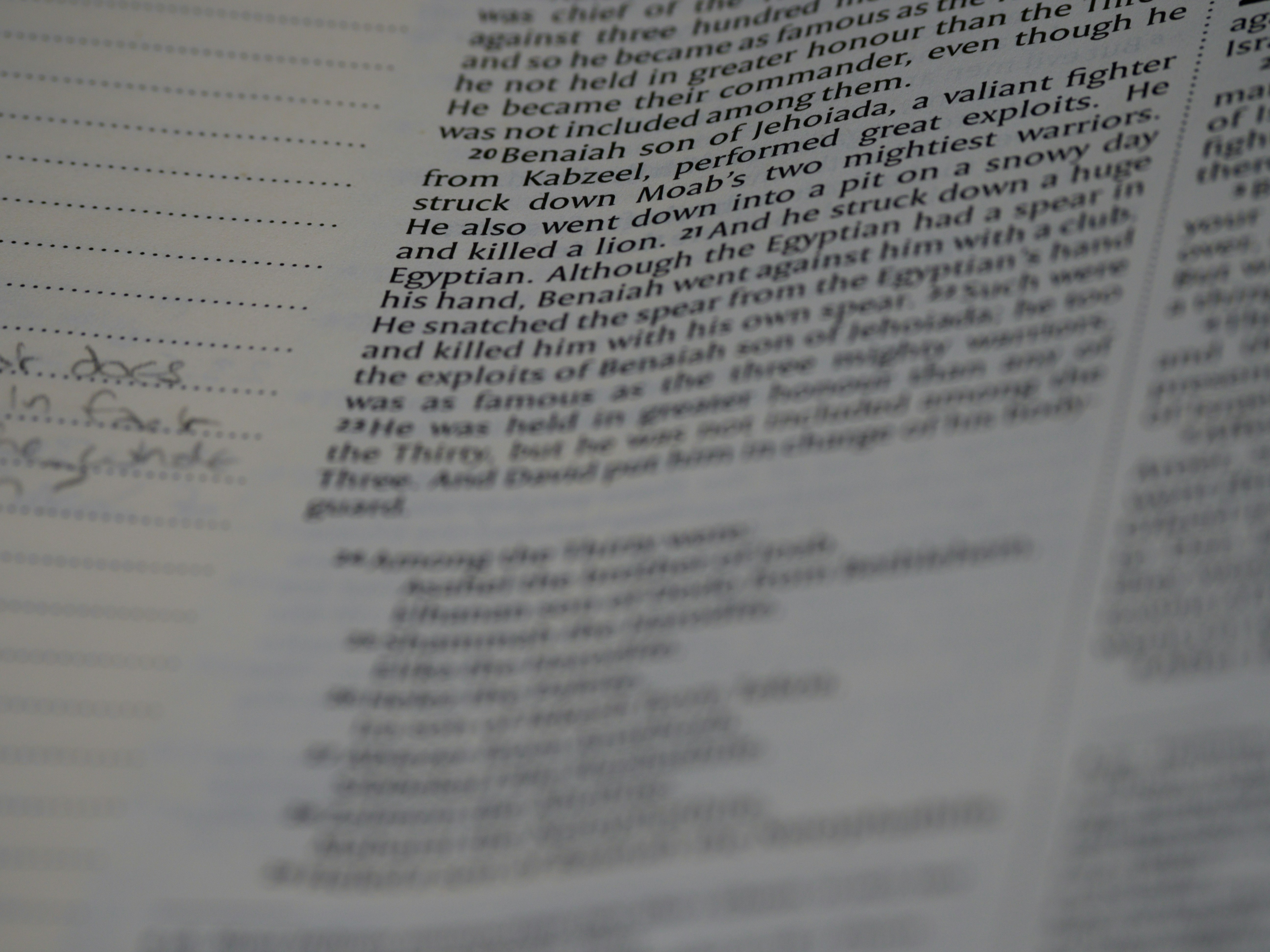 Photo by brett_jordan