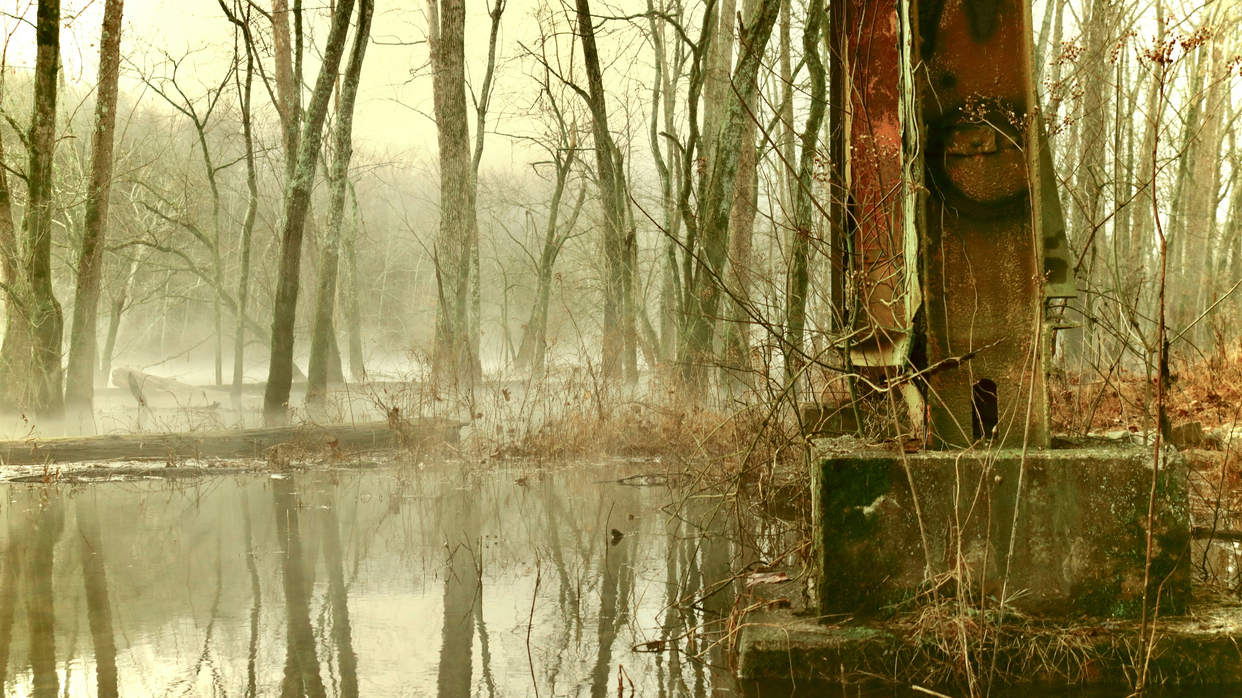 Photo of Baxter, Tennessee