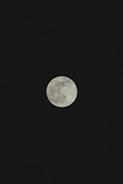 A full moon is prominently displayed against a backdrop of a dark night sky. The lunar surface features are visible, providing a textured and detailed view.