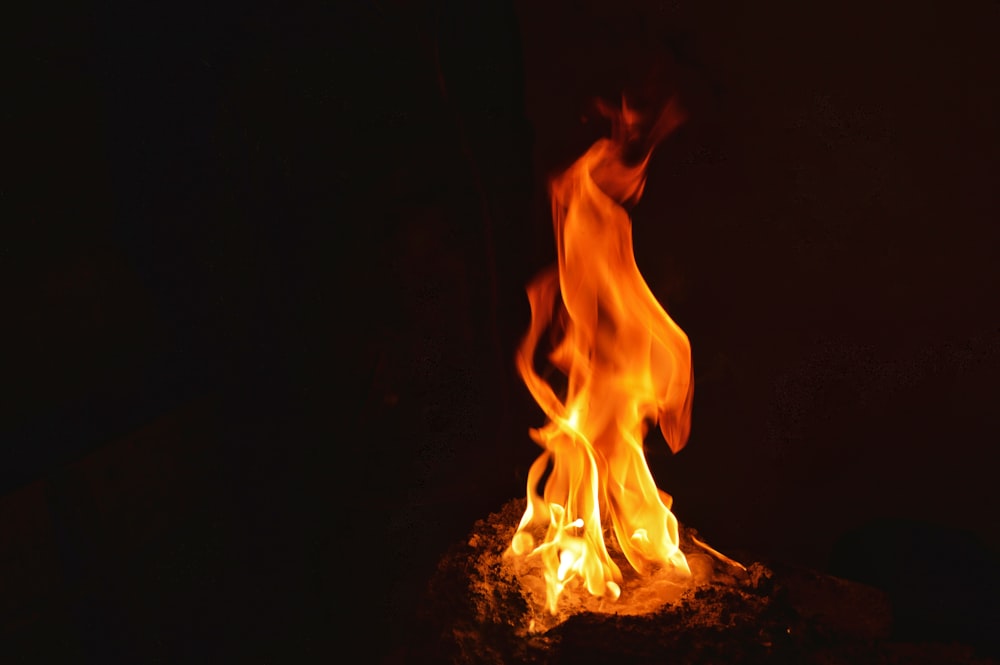 fire in the dark during night time